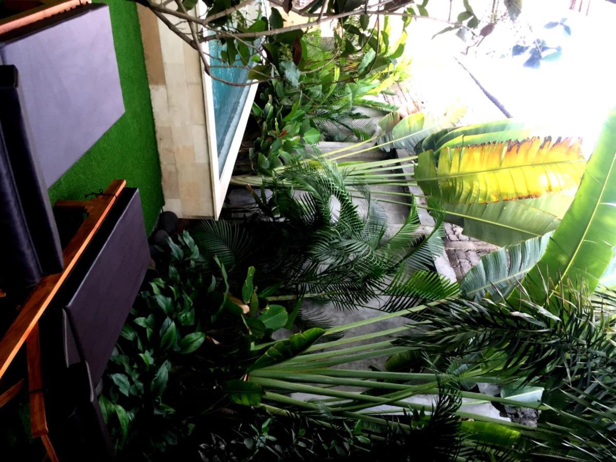 סמיניאק Kubu Kenak Guesthouse מראה חיצוני תמונה